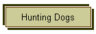Hunting Dogs
