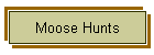Moose Hunts